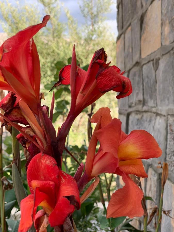 Jabal Shams Country house Saab Bani Khamis